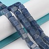 Natural Blue Aventurine Beads Strands G-Q1008-B15-4