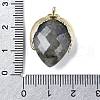 Natural Labradorite Pendants G-U019-01G-02-3