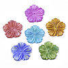 Natural Freshwater Shell Beads X-SHEL-N026-10-1