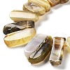 Natural Botswana Agate Beads Strands G-L551B-15-3
