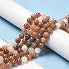 Natural Multi-Moonstone Beads Strands G-C021-01-4