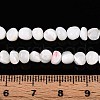 Natural Trochid Shell/Trochus Shell Beads Strands SSHEL-N040-06-4