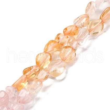 Natural Rose Quartz & Citrine Beads Strands G-L610-B10-01-1