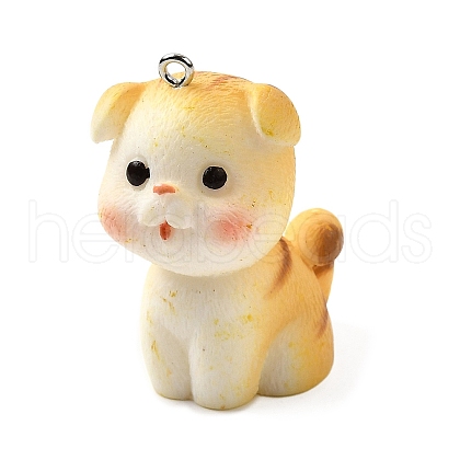 Resin Pendants FIND-U031-06P-1