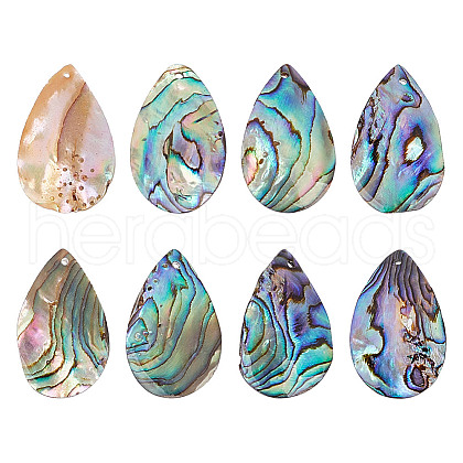 HOBBIESAY 8Pcs Natural Abalone Shell/Paua Shell Pendants SSHEL-HY0001-02-1