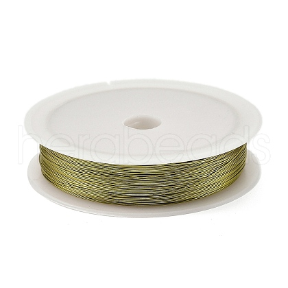 Baking Painted Iron Wire MW-NH0001-03B-1