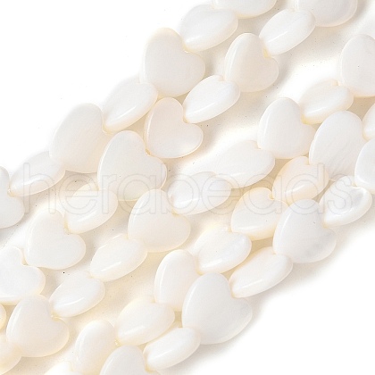 Natural Freshwater Shell Beads Strands SSHEL-C013-05-1