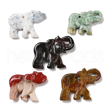 Natural Red Jasper/Unakite/Dyed & Heated Black Agate/Agate Animal Carved Pendants G-K383-02-1