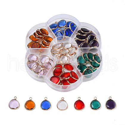 K9 Glass Pendants GLAA-N038-32-1