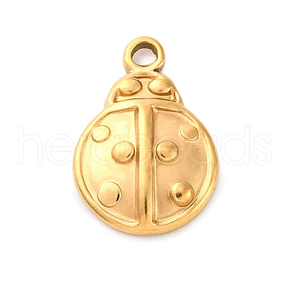 304 Stainless Steel Charms STAS-G354-01A-G-1