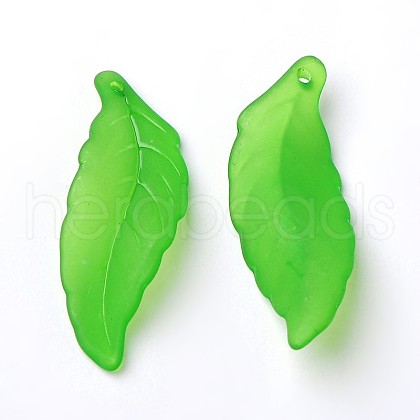 Transparent Acrylic Pendants FACR-R003-1-1