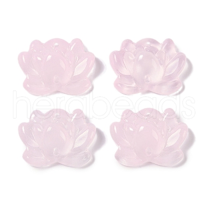 Baking Paint Glass Beads GLAA-S202-13H-1