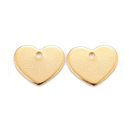 201 Stainless Steel Charms X-STAS-K217-76G-1