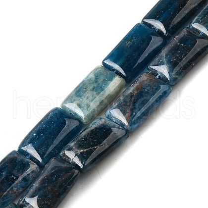 Natural Apatite Beads Strands G-Q026-B01-01-1
