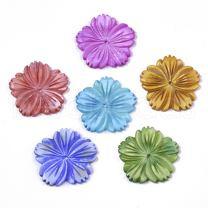 Natural Freshwater Shell Beads X-SHEL-N026-10-1