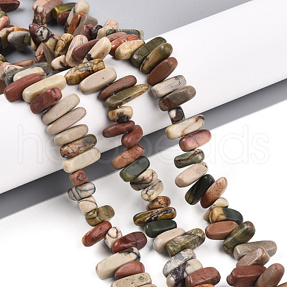 Natural Polychrome Jasper/Picasso Stone/Picasso Jasper Beads Strands G-T140-63-1