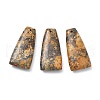 Natural Leopard Skin Jasper Pendants G-E596-01A-1