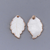 Electroplate Freshwater Shell Pendants SHEL-S274-57-2