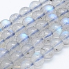 Natural Labradorite Beads Strands G-J373-14-5mm-1