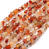 Dyed Natural Carnelian Beads Strands G-F465-22-1
