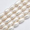 Natural Cultured Freshwater Pearl Beads Strands PEAR-F007-78-01-1
