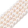 Natural Cultured Freshwater Pearl Beads Strands PEAR-I007-01D-06A-02-2