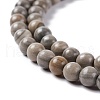 Natural Silver Line Jasper Beads Strands G-P451-03C-A-4