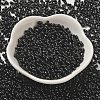 Opaque Glass Seed Beads SEED-K009-06B-01-2