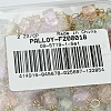 100Pcs Glass Connector Charms PALLOY-FZ00018-9