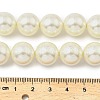 Round Shell Pearl Beads Strands BSHE-XCP0001-25C-02-4