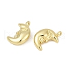 Brass Charms KK-S527-14G-2