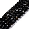 Natural Golden Sheen Obsidian Beads Strands G-C229-01B-1