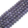 Natural Lepidolite/Purple Mica Stone Beads Strands G-P573-B05-01-2