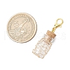 Copper Wire Wrapped Glass Wishing Bottle Pendant Decoration HJEW-JM03302-02-3