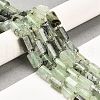 Natural Prehnite Beads Strands G-G068-A40-01-2