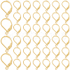 SOFPLATE 304 Stainless Steel Leverback Earring Findings STAS-SP0001-06B-1