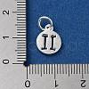 925 Sterling Silver Constellations Charms STER-M118-01I-3