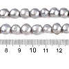 Natural Cultured Freshwater Pearl Beads Strands X-PEAR-R064-24-3