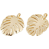 BENECREAT Brass Pendants KK-BC0004-87-1