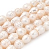 Natural Cultured Freshwater Pearl Beads Strands PEAR-I007-01I-01A-2