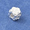 925 Sterling Silver Beads STER-C013-03S-2