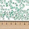 6/0 Spray Paint Glass Seed Beads X1-SEED-H003-11L-4