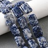 Natural Blue Spot Jasper Beads Strands G-S386-A05-1