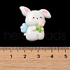 Opaque Resin Cabochons RESI-F049-02C-3
