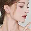 Beebeecraft 3Pairs Brass Leveback Earring EJEW-BBC0001-61E-5