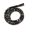 Natural Biotite Beads Strands G-L624-I12-3x6mm-3