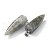 Natural Labradorite Pendants G-D040-01P-B04-3