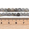 Natural Labradorite Beads Strands G-RM2025-C34-C-5
