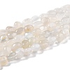 Natural White Moonstone Beads Strands G-G018-05-1