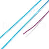 Segment Dyed Polyester Thread NWIR-I013-E-21-3
